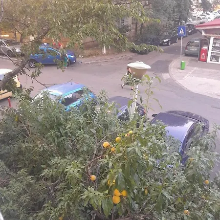 Homestay szállás Cazare Cocheta